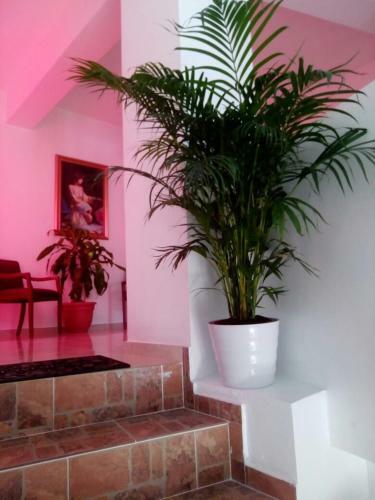 Albergue Hotel Central