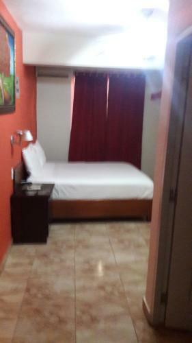 Hotel Samana Spring