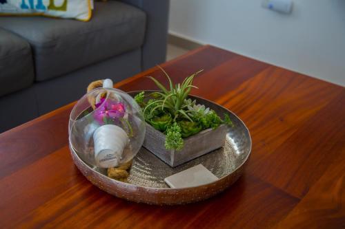 Apartamento Zoema