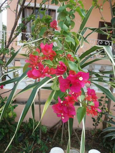 Hostal Bed & Breakfast Sol Y Luna