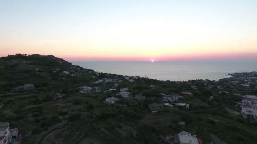 Bed & Breakfast Villa La Cesa