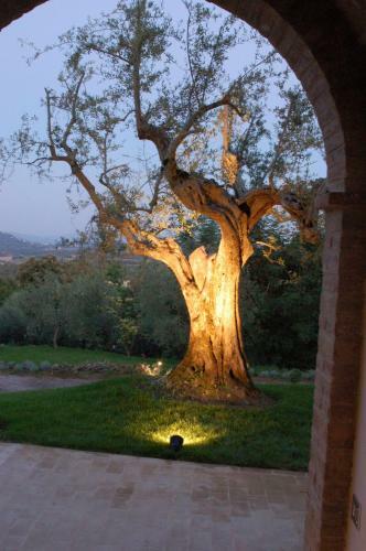 Albergue Poggio Piglia - Guest House