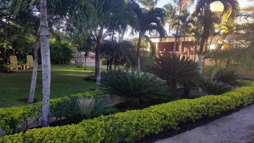 Apartamento The Garden Condo
