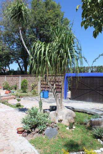 Quinta La Sirena Del Volc�n