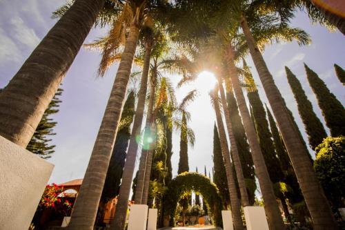 R�o Tinto Hotel Boutique