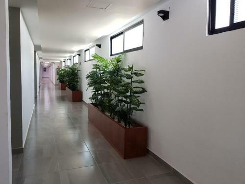 Hotel Boutique La Toja Campeche