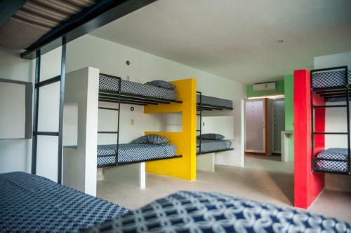 Hostal Coco Hostel