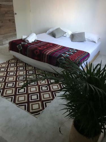 Macarena Hostel