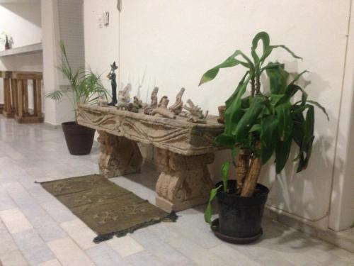 Albergue Cielo 2 Canc�n