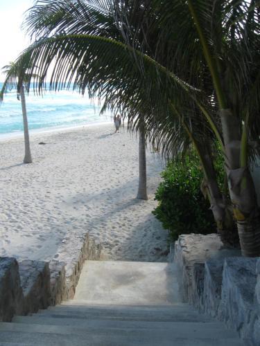 Apartamento Ocean Dream Seaview Condo