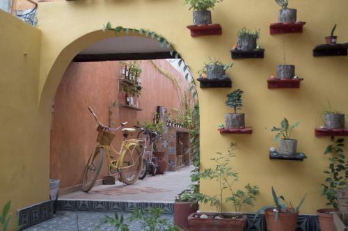 Agavero Hostel