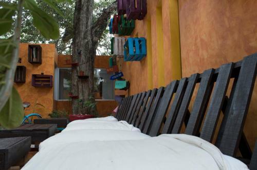 Agavero Hostel