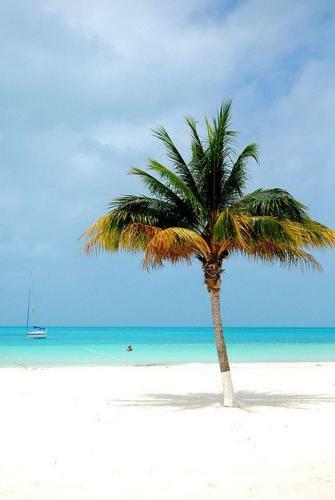 Apartamento Beautiful Ocean View 1 Bdrr Condo