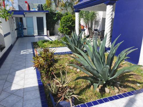 Apartamento Suites Garden Cancun