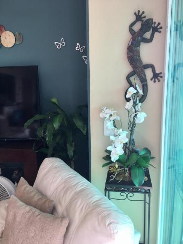 Bed & Breakfast Vista Del Caribe