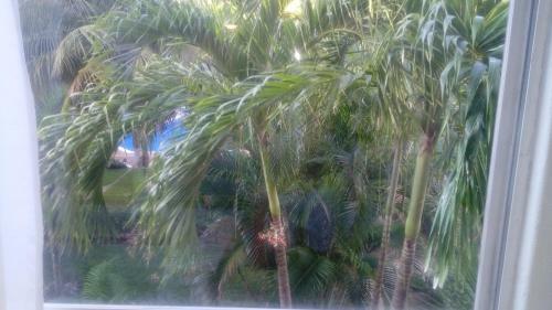 Apartamento Stay In Cancun Paradise