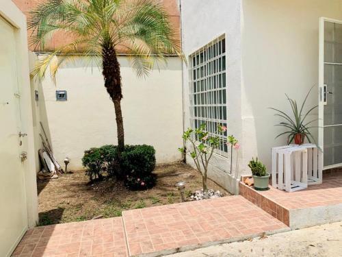 Casa Golondrina Huasteca