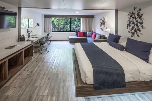 Hotel Flowsuites Condesa - Adults Only