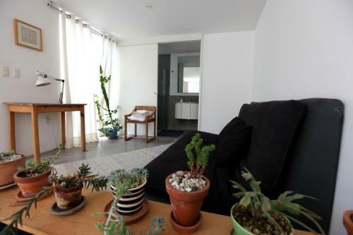Light And Housewarming In Casa Narvarte