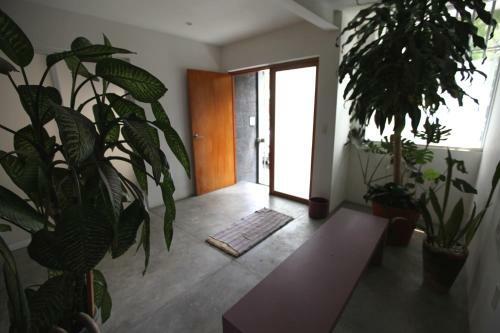 Light And Housewarming In Casa Narvarte