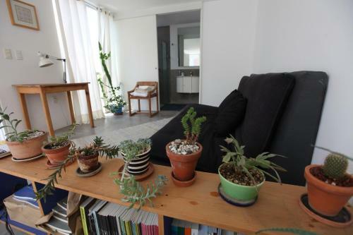 Light And Housewarming In Casa Narvarte