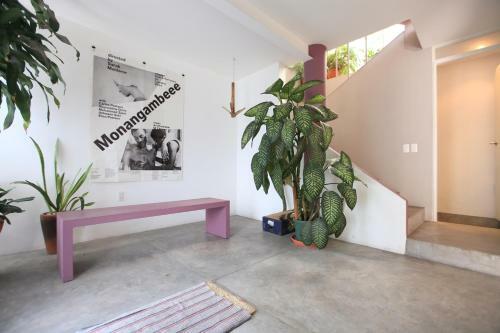 Light And Housewarming In Casa Narvarte