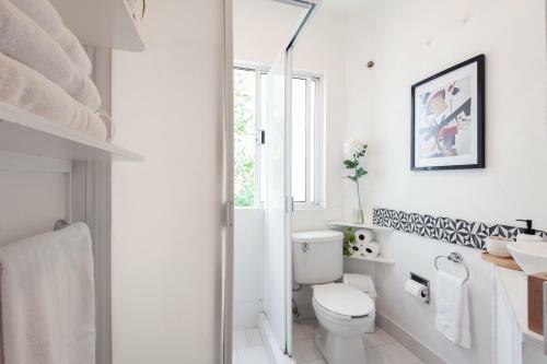 Apartamento Condesa Flat