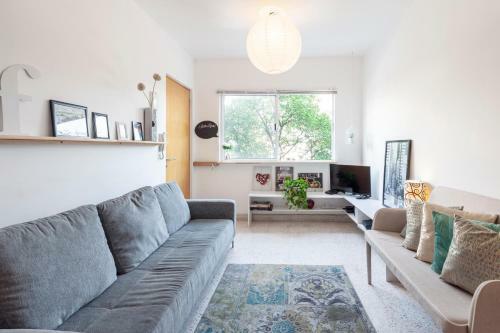 Apartamento Condesa Flat