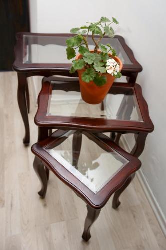 Apartamento Montserrat Condesa