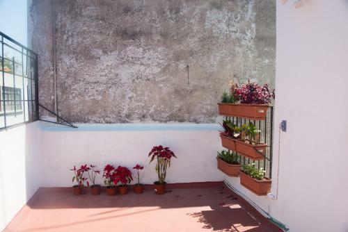 Apartamento Estudio Inn