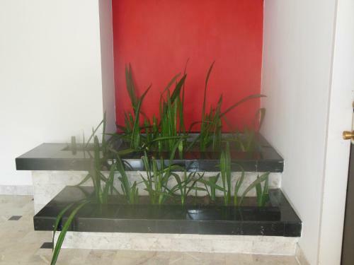 Hotel Paraiso