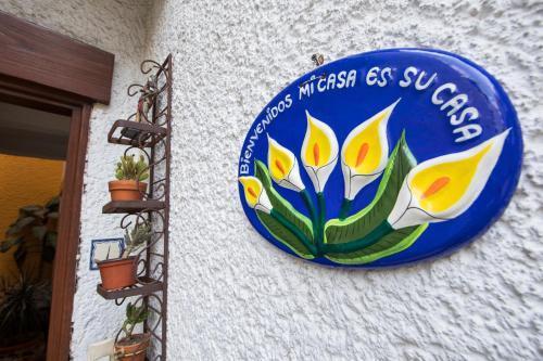 Bed & Breakfast Casa Ayvar