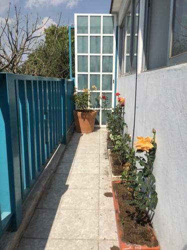 Apartamento Dpto Con Balcon, 4 P, Sur Cd M�xico