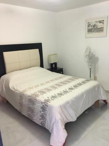 Hostal Complete House In Coyoac�n