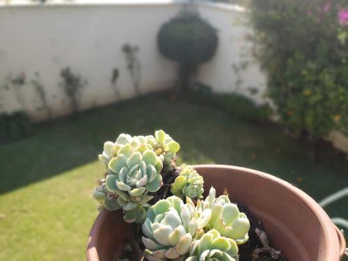 Apartamento Pepper My Love!