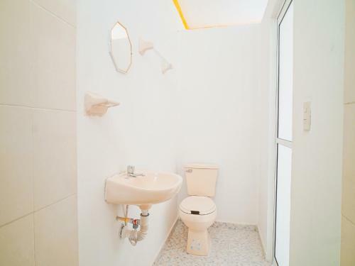 Hostal Hospedaje Colibr�