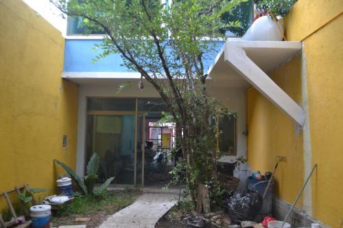 Hostal Galer�a Chiapas