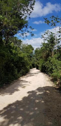 Wayak Jungle Villas