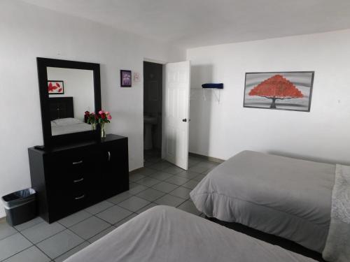 Hotel Posada Anahuacalli