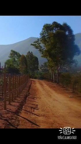 Bed & Breakfast Vi�a Calabria
