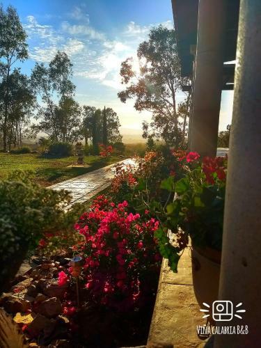 Bed & Breakfast Vi�a Calabria