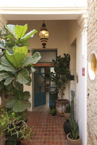 Apartamento Beautiful Studio 1, In Guest House Villa Calavera