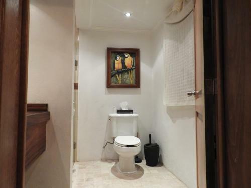 Apartamento Casa Del Temezcuitate