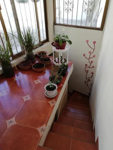 Apartamento Casa Cantares