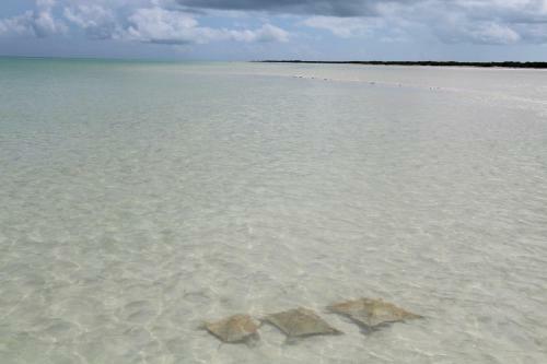 Hotel Villas El Encanto Holbox