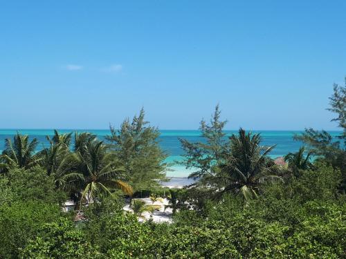 Bed & Breakfast Casa Vainilla Holbox Island