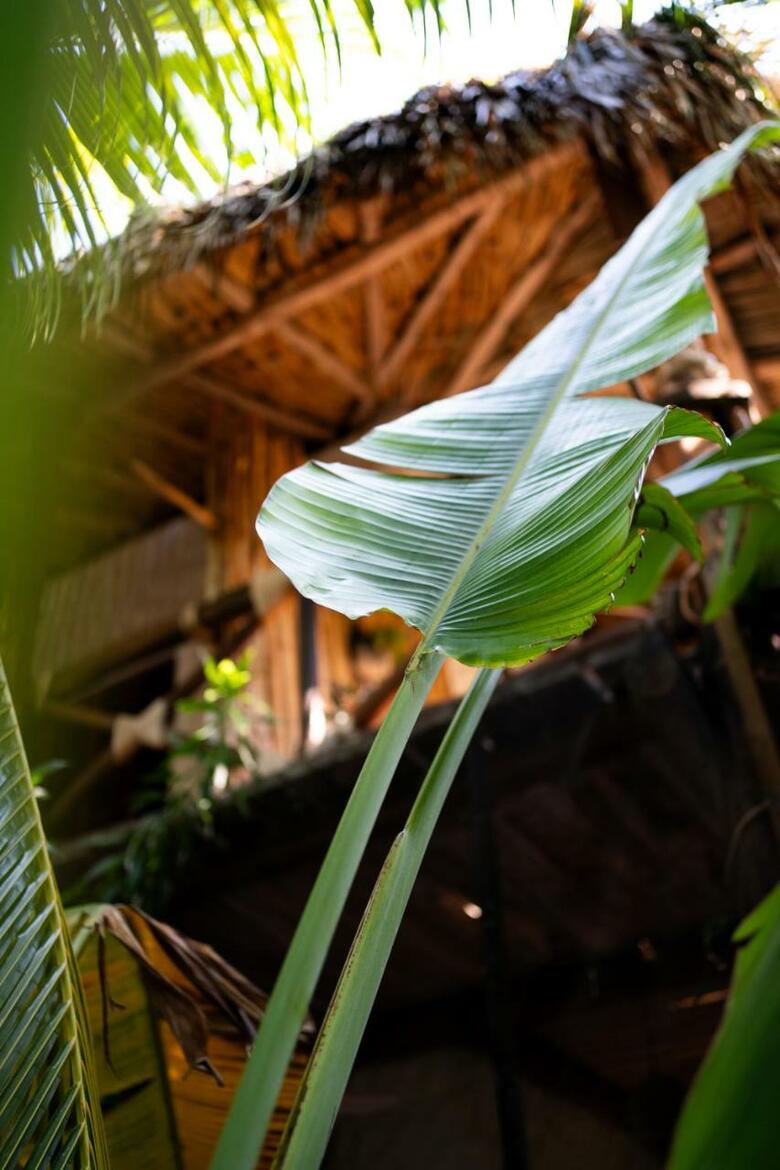 Casa Sirenas Holbox