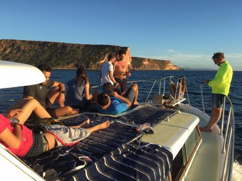 Baja Off Shore