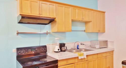 Apartamento 2 Br 2 Bath, Downtown Ground Level.