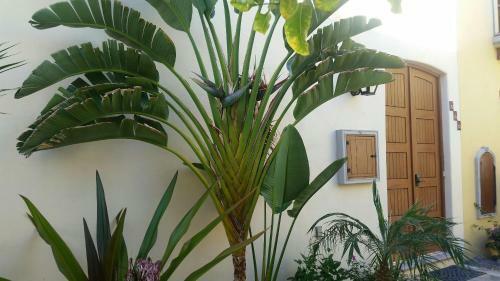 Ocean Golf And Villa Rentals Private D
